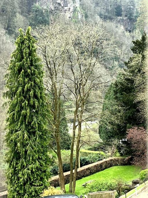 10 Wye Rapids Cottages Symonds Yat Exterior foto